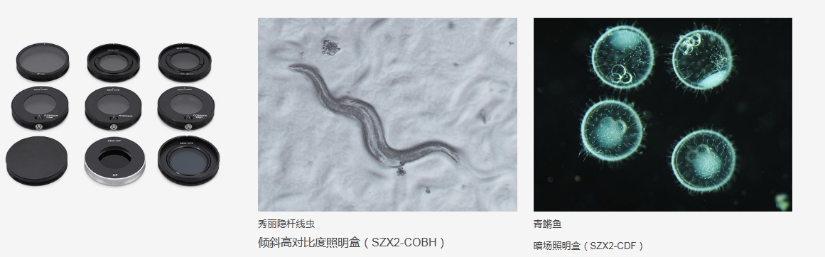 奥林巴斯显微镜